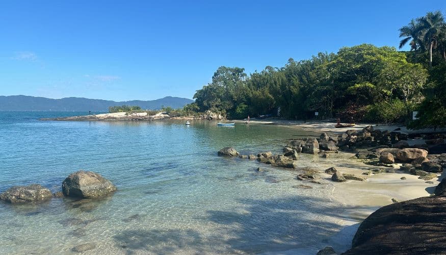 Grande Florianópolis inicia criação de plano de ação para a biodiversidade