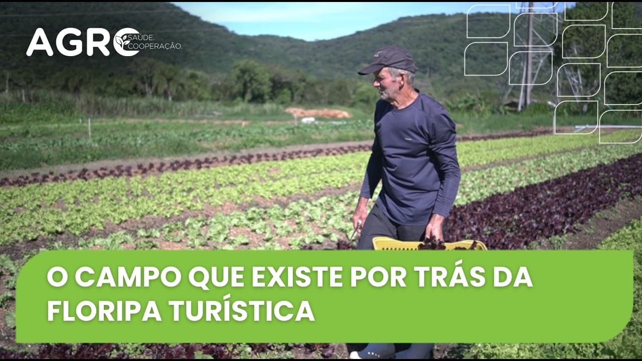 Agro Saúde e Cooperação