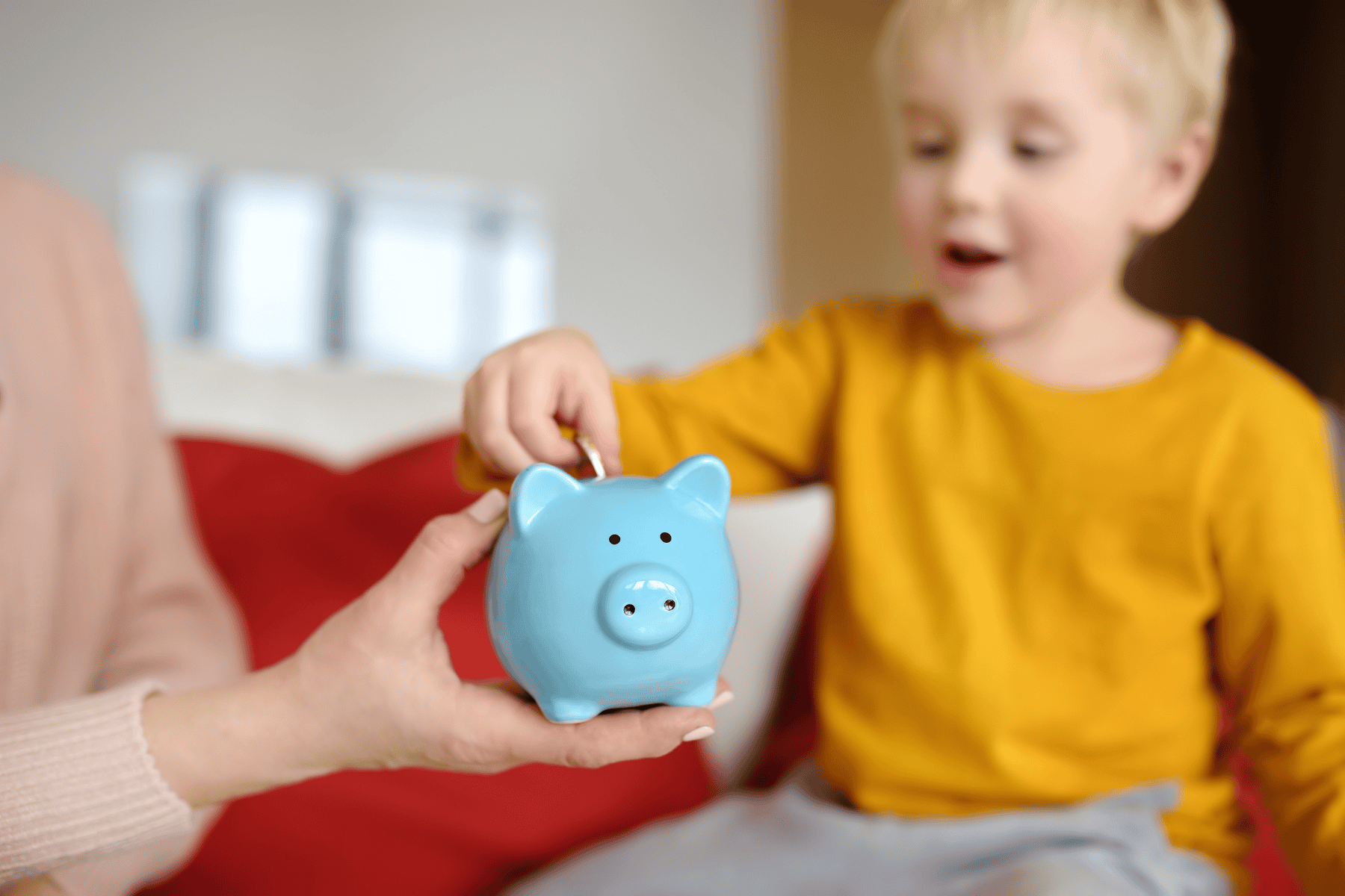 Livro infantil sobre educação financeira terá lançamento e distribuição gratuita em Florianópolis