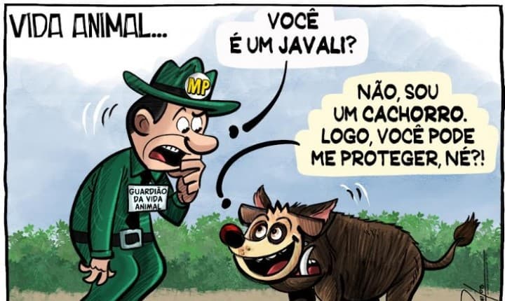 Mix Político de SC: Proteção Animal, Exportações, Segurança e Eleições em Destaque